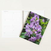 Catawbiense Boursault Rhododendrons, Oregon Planer (Anzeige)