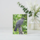 Catbird ATC Visitenkarte (Stehend Vorderseite)