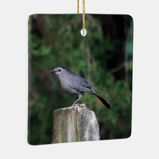 Catbird Ornament (Rechts)