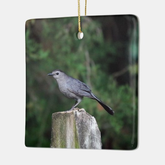 Catbird Ornament (Links)