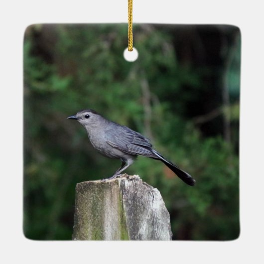 Catbird Ornament (Rückseite)