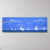 Catboat Race Poster (Vorne)