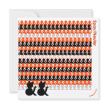 "Catcetera: Spay/Neuter" Rette die Vögel