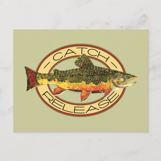 Catch and Release Fishing Postkarte (Vorderseite)
