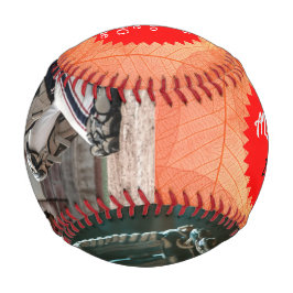 Catcher and Glove ALEX.B - Baseball 2022