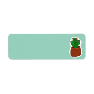 Catcus