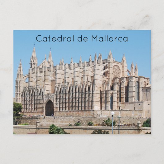 Catedral de Mallorca Postkarte (Vorderseite)