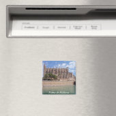 Catedral Magnet (In Situ (Geschirrspüler))