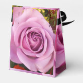 Catejne Geschenkschachtel (Rückseite)
