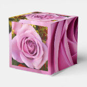 Catejne Geschenkschachtel (Rückseite)