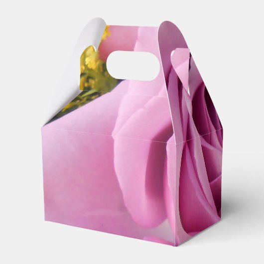 Catejne Geschenkschachtel (Rückseite)