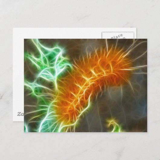 Caterpillar-Fraktal Postkarte (Vorne/Hinten)