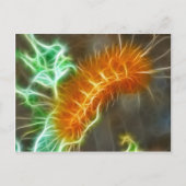 Caterpillar-Fraktal Postkarte (Vorderseite)