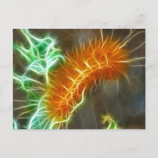 Caterpillar-Fraktal Postkarte (Vorderseite)