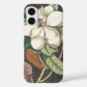Catesby Vintage Magnolie Botanische Illustration iPhone 16 Hülle