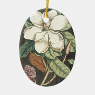 Catesby Vintage Magnolie Botanische Illustration Keramik Ornament