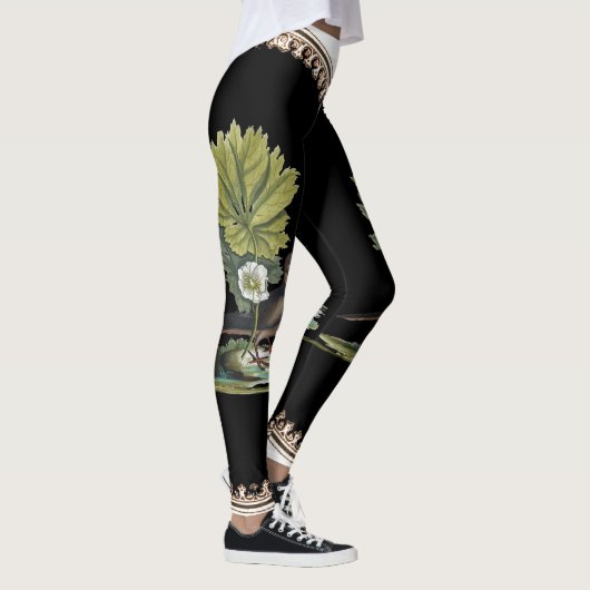 Catesby Vogel auf hinteren Leggings (Rechts)