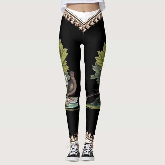 Catesby Vogel auf hinteren Leggings (Vorderseite)