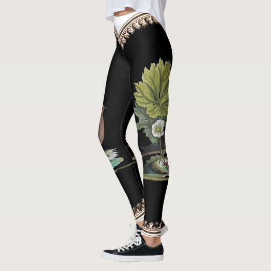 Catesby Vogel auf hinteren Leggings (Links)