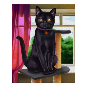CatFans - schwarze Katzen-Plakat Bombays Poster