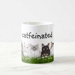 Catfeine nicht Koffein Kaffeetasse