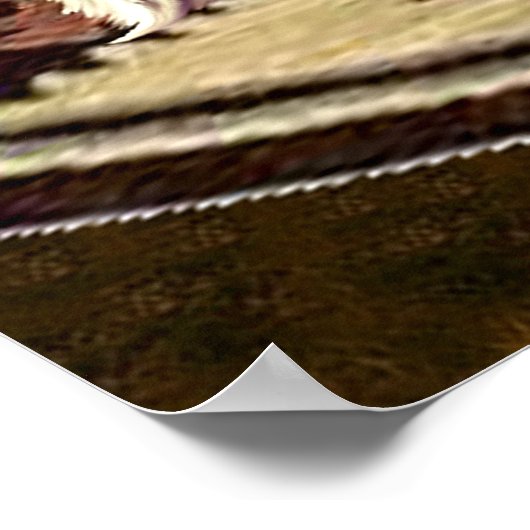 CATFIGHT IN A TEEPEE POSTER (Ecke)