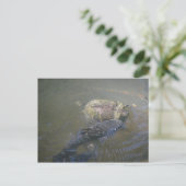 Catfish and Turtle Postcard Postkarte (Stehend Vorderseite)