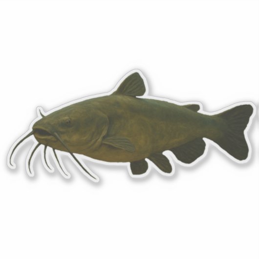 Catfish Cut-out Sticker (Vorderseite)