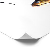 Catfish-Familie Poster (Ecke)