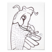 Catfish Fotodruck (Vorne)