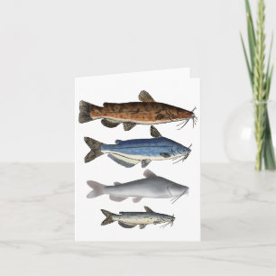 Catfish Group Dankeskarte