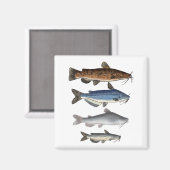 Catfish Group Magnet (Vorderseite/Rückseite)
