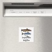 Catfish Group Magnet (In Situ (Geschirrspüler))
