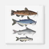 Catfish Group Magnet (Vorne)