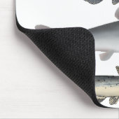 Catfish Group Mousepad (Ecke)