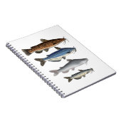 Catfish Group Notizblock (Rechte Seite)