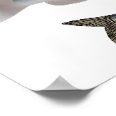 Catfish Group Poster (Ecke)