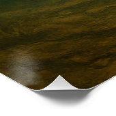 Catfish Poster (Ecke)