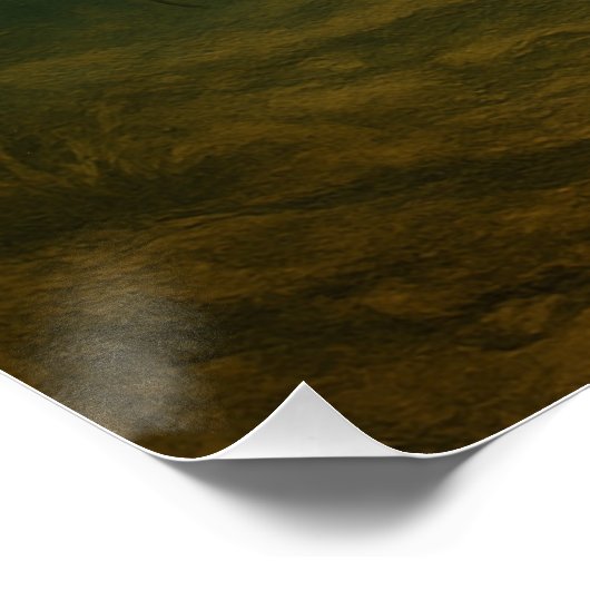 Catfish Poster (Ecke)