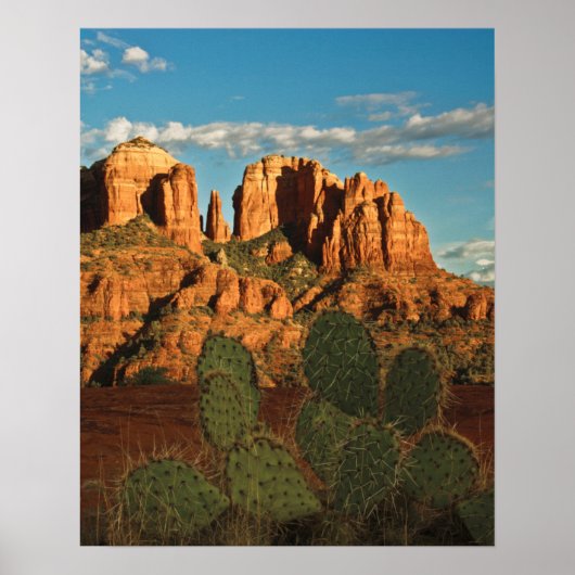 Cathedral Rock at Sunset from Secret Canyon Poster (Vorne)