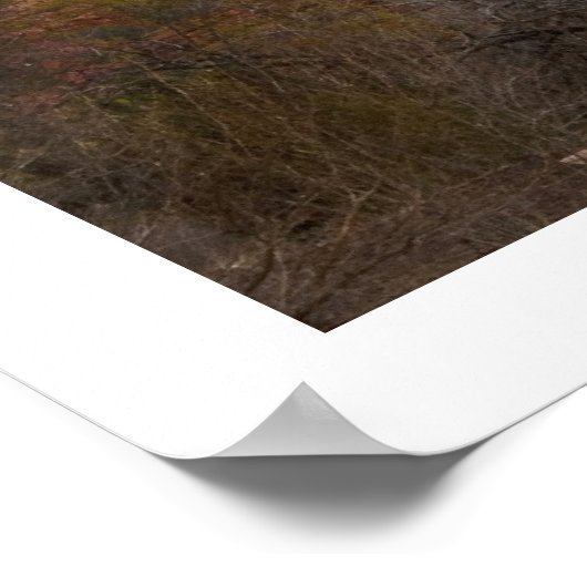 Cathedral Rock Poster (Ecke)