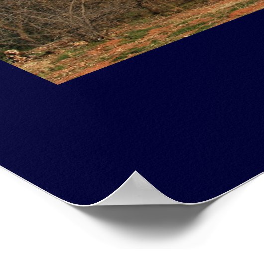 Cathedral Rock Poster (Ecke)