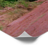 Cathedral Rock Sedona Poster (Ecke)