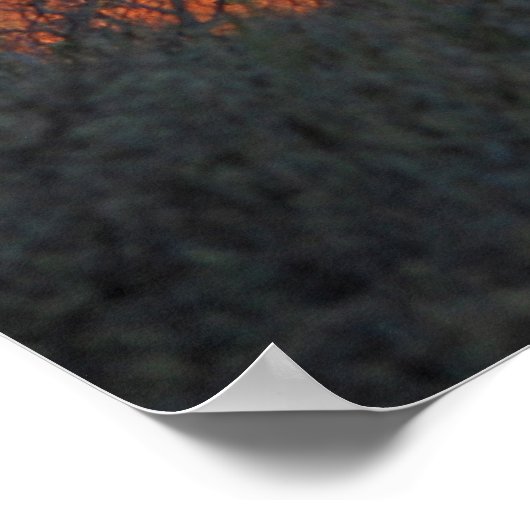 Cathedral Rock Valley 358 Poster (Ecke)