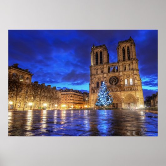 Cathédrale Notre-Dame de Paris Poster (Vorne)