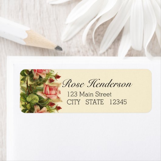 Catherine Klein Apricot Rosa Rücksendeadresse (Insitu)