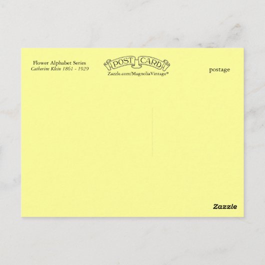 Catherine Klein Blume Alphabet C Chrysanthemen Postkarte (Rückseite)