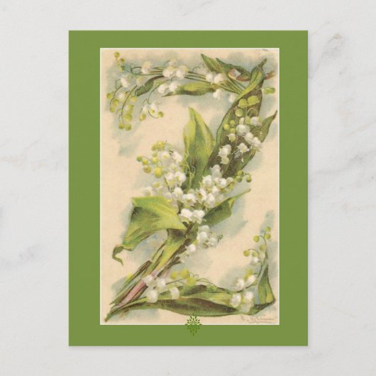 Catherine Klein Blume Alphabet Z Lily of Valley Postkarte (Vorderseite)