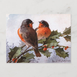 Catherine Klein: Robins on Holly Postkarte