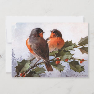 Catherine Klein: Robins über Holly
